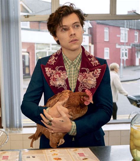 harry styles gucci tiger print tumblr|Harry Styles Wears His “Dream Wardrobe” in New Gucci Campaign.